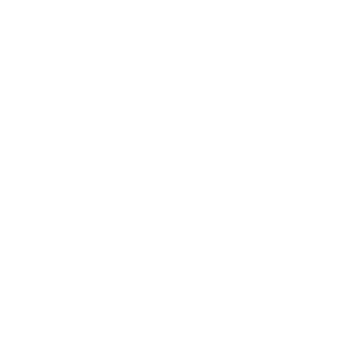 pfn logo