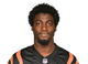 PJ Jules