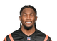 Tee Higgins