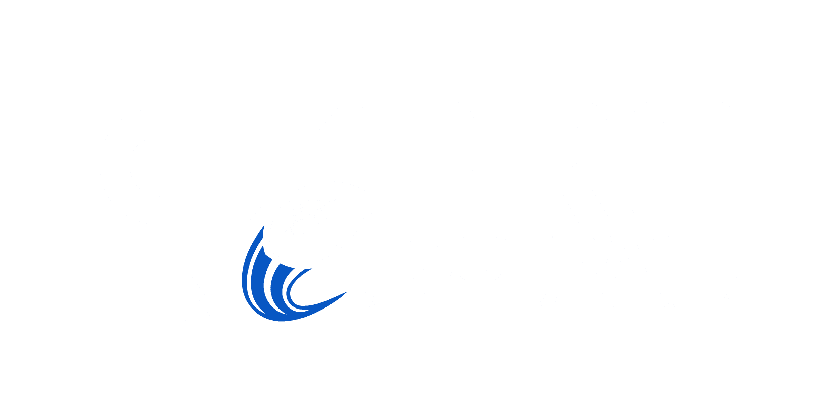 pfn-logo